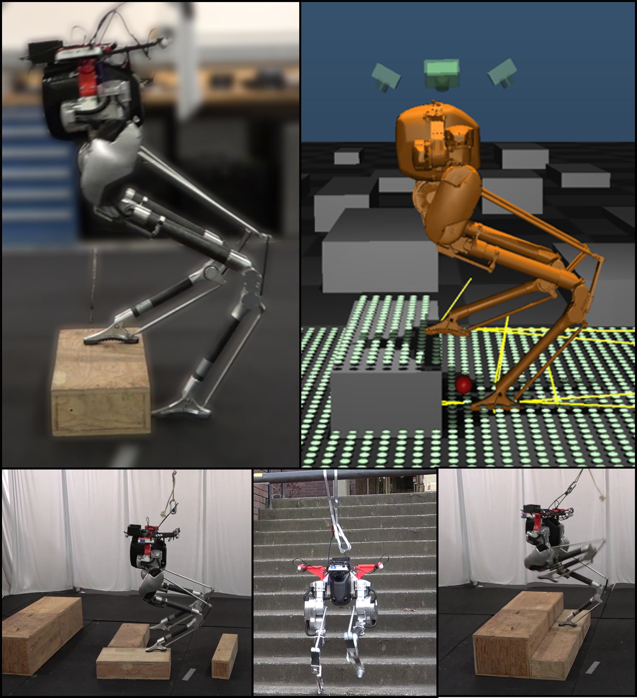Intro Image